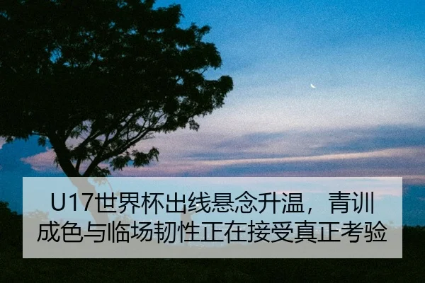 shi-jie-bei-chu-xian-xuan-nian-sheng-wen-qing-xun-cheng-se-yu-lin-chang-ren-xing-zheng-zai-jie-shou-zhen-zheng-kao-yan-2-764.jpg