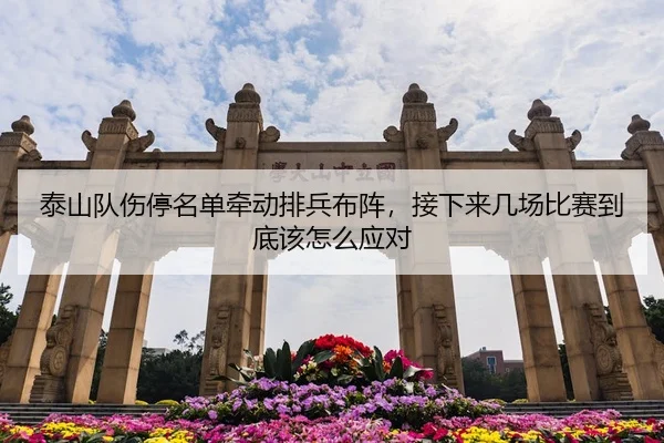 泰山队伤停名单牵动排兵布阵，接下来几场比赛到底该怎么应对