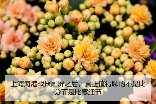 shang-hai-hai-gang-zhan-bao-shua-ping-zhi-hou-zhen-zheng-zhi-de-liao-de-bu-shi-bi-fen-er-shi-bi-sai-xi-jie-3-836.jpg