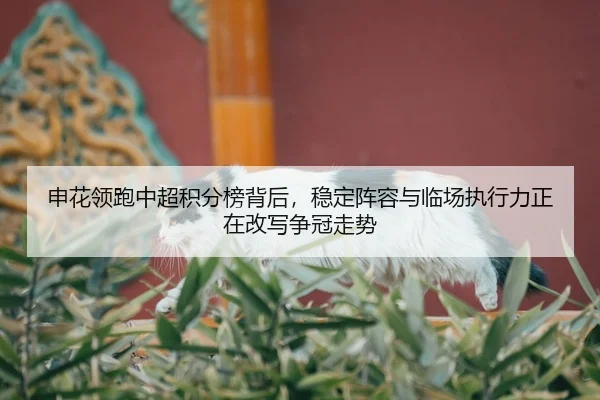 申花领跑中超积分榜背后，稳定阵容与临场执行力正在改写争冠走势